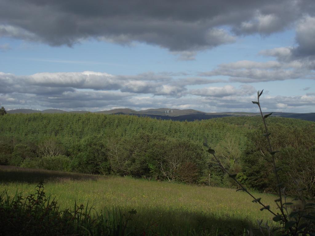 Pine View Self Catering Holiday Home Donegal Town Екстериор снимка